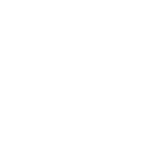 Icon Data Collection